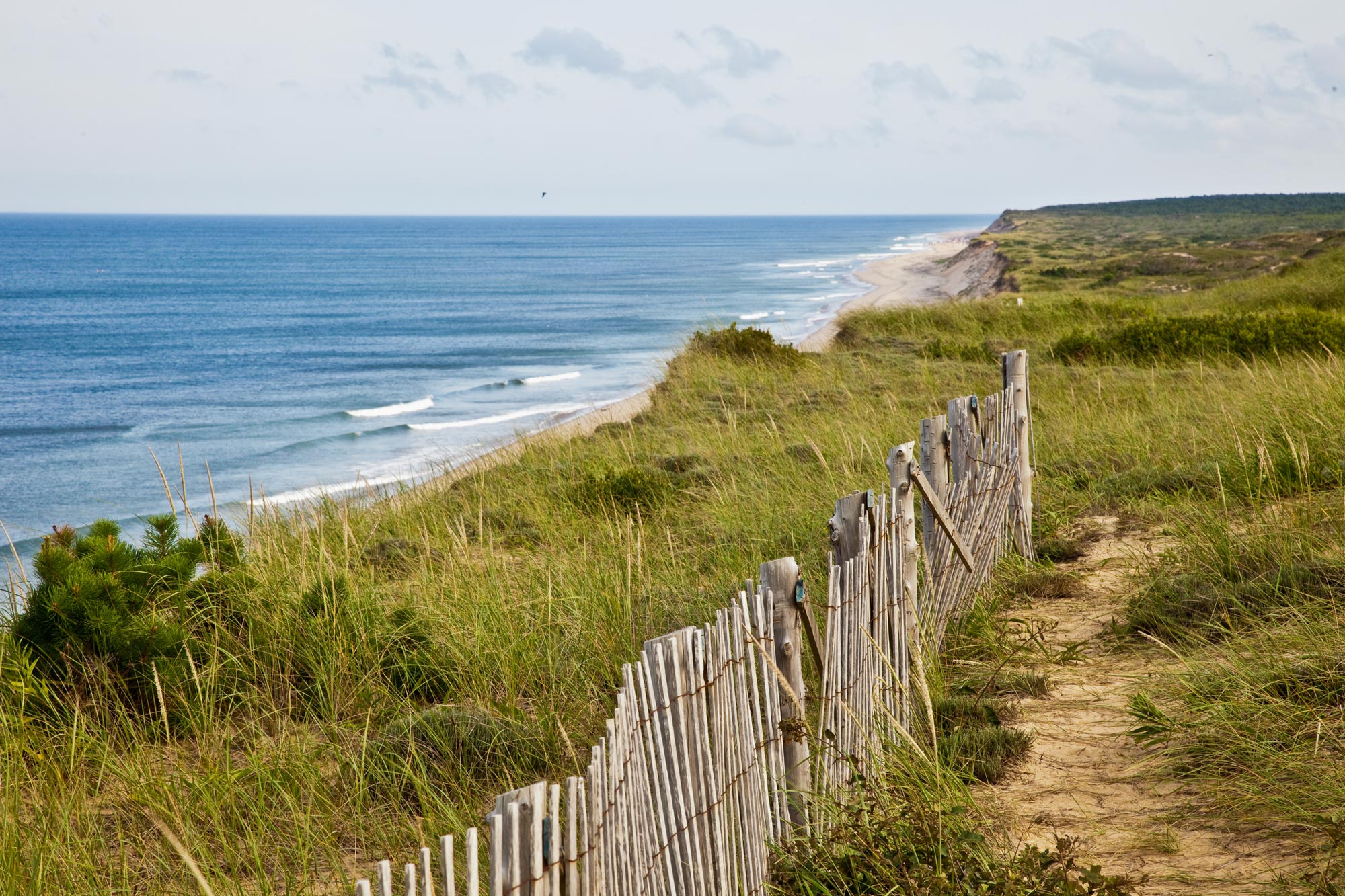 Panoramic view of grassy dunes and old fence on the beach