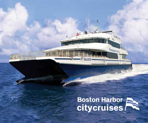 A large ferry on the water